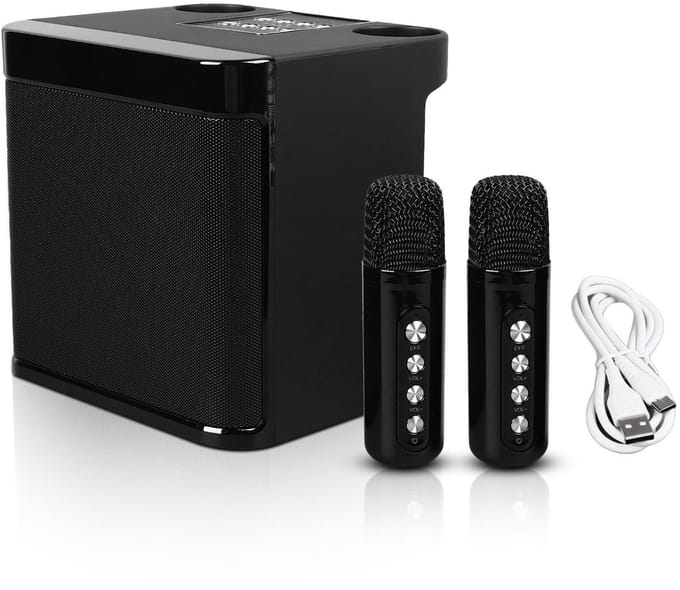 Dailygoods- Karaoke Luidsprekers Draagbaar - Bluetooth Luidspreker - Draadloze Microfoons - Thuisfeest/Kamperen - Uitstekende Kwaliteit - Karaoke Machine