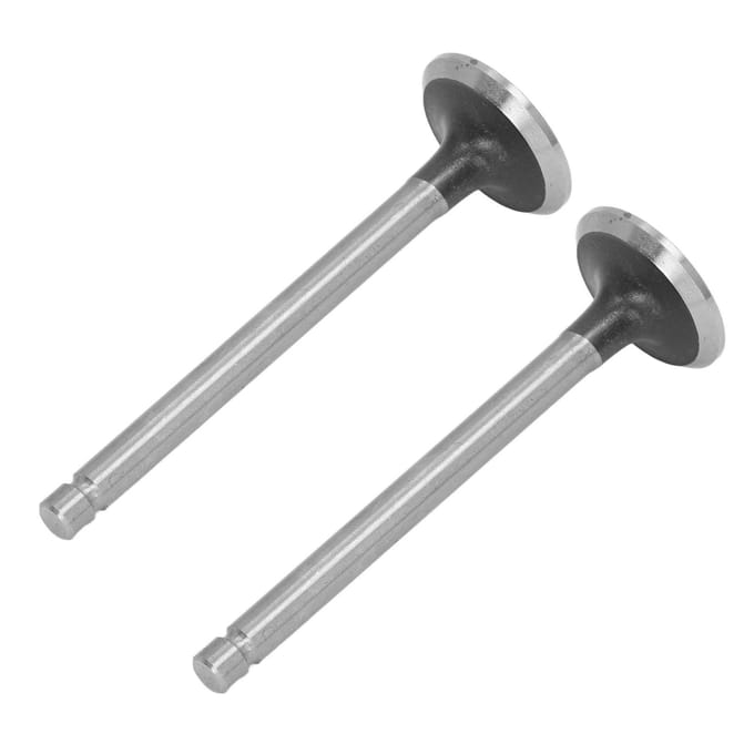2 STUKS Inlaat Uitlaat Klep Set Legeringsstaal Braamvrij Generator Kleppenset voor Mini Tuinfrees