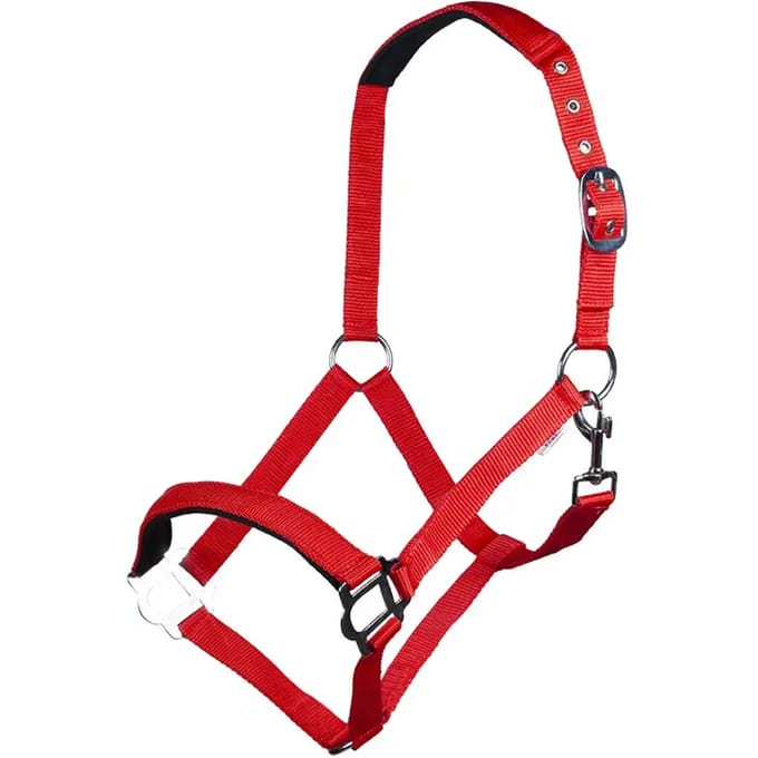 Halster voor paarden HKM Sydney