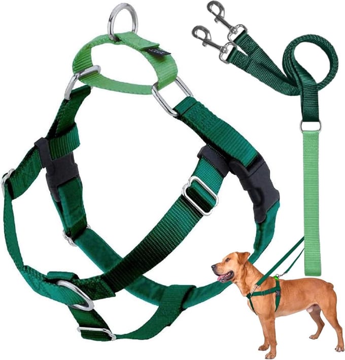 Hondentuigje - Honden Harnas - Veilig Wandelen - No-Pull Ontwerp - Maat M - Kelly Groen