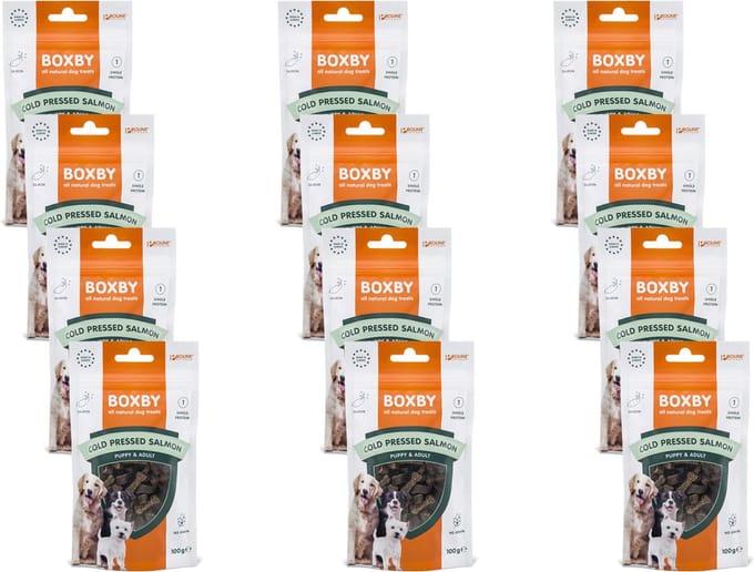 Boxby Grain Free 100 g - Hondensnacks - 12 x Zalm Hypo-Allergeen