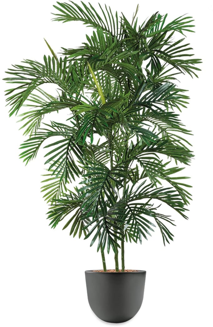 HTT - Kunstplant Areca palm in Eggy antraciet H175 cm