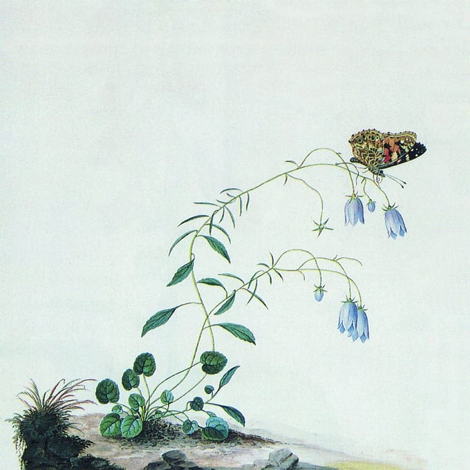 Botanist - Encyclopedia Botanica, Vol.1