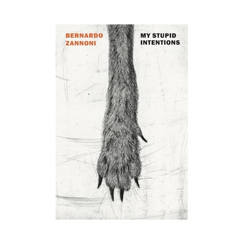 My Stupid Intentions - Bernardo Zannoni