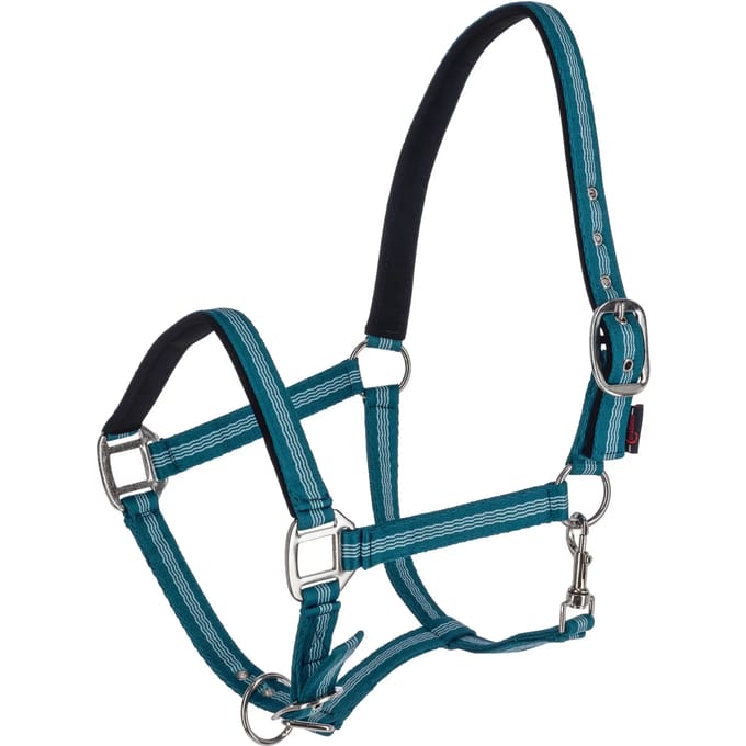 Halster voor paarden Kerbl Mustang