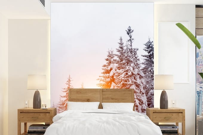 Behang - Fotobehang Zon - Bomen - Sneeuw - Breedte 165 cm x hoogte 220 cm