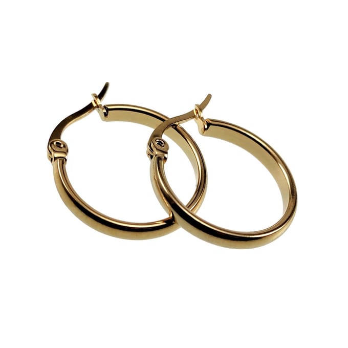 ∅20mm x 3mm Oorringen Dames - Verguld RVS - Oorbellen