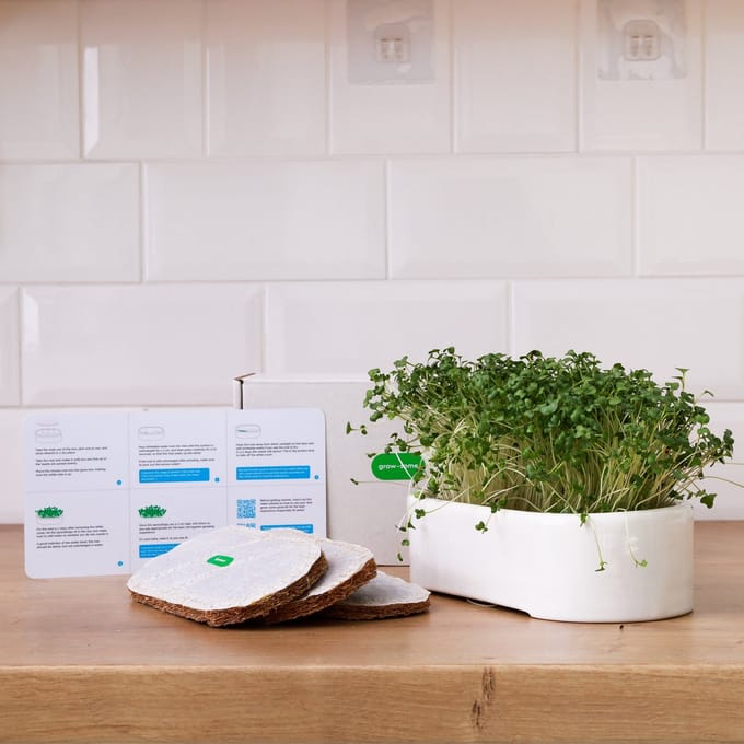 Keramische Microgreen Kweekset- Microgreenstarterskit bundel met zaadpads -Microgreen Growing Kit