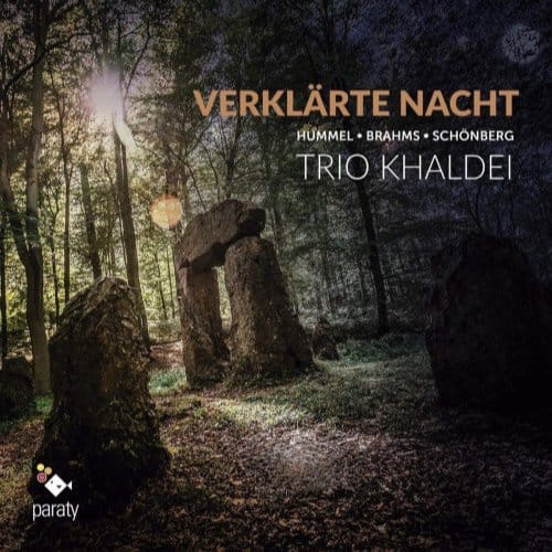 Verklarte Nacht - Dale Duesing, Andreas Conrad,