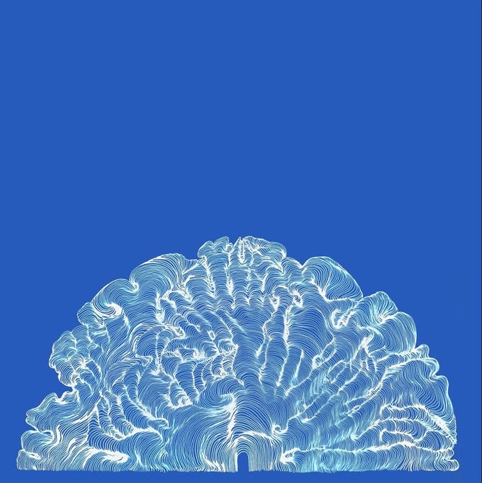 Leafcutter John - Yes! Come Parade With Us (CD)