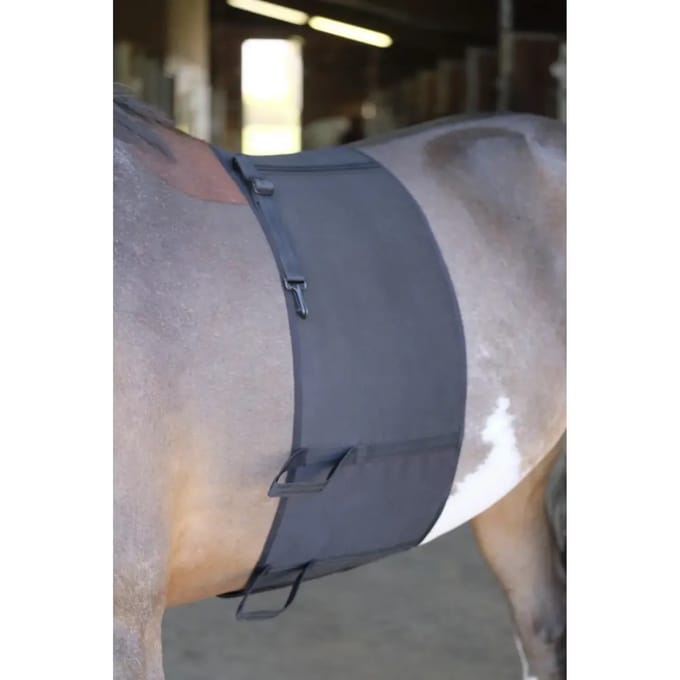Norton Bodybandage Zwart - L | Zadel accessoires