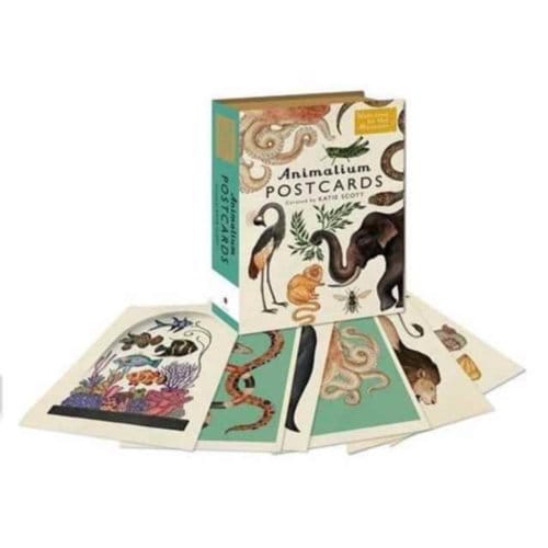 Animalium Postcards - Broom, Jenny