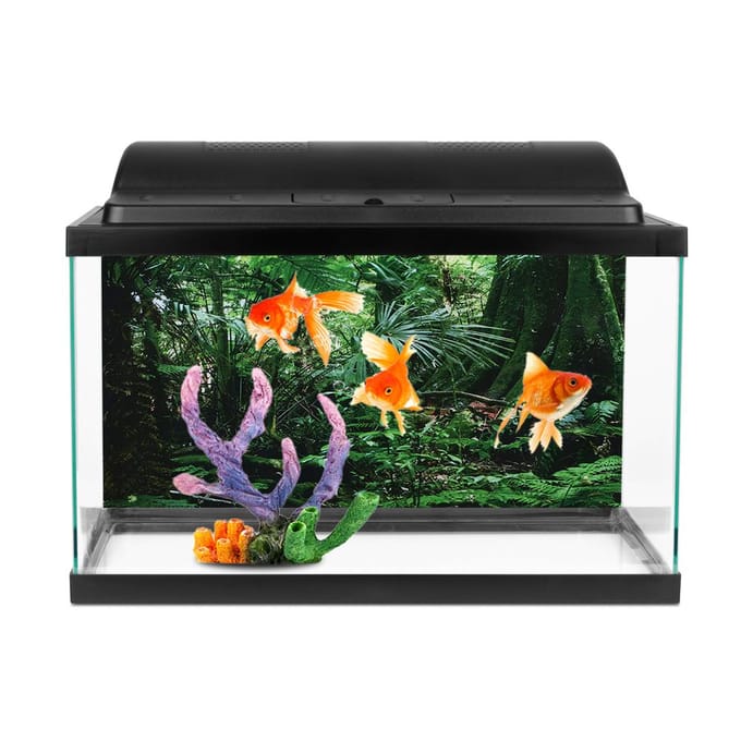 Boîte Reptile PVC Affiche Fond Forêt Tropicale Peinture Décoration Murale Aquarium Auto black
