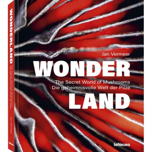 Wonderland - Vermeer, Jan