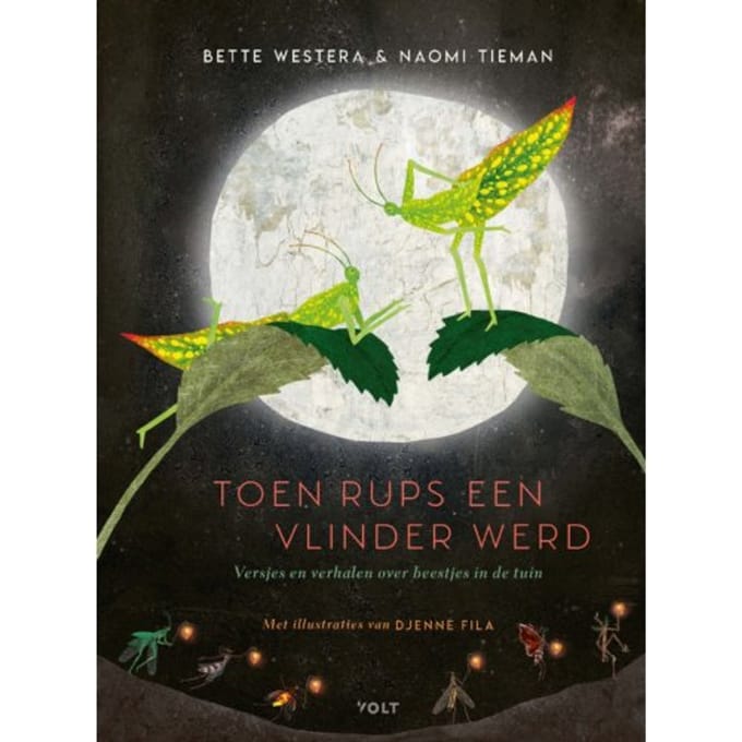 Toen Rups Een Vlinder Werd - Bette Westera