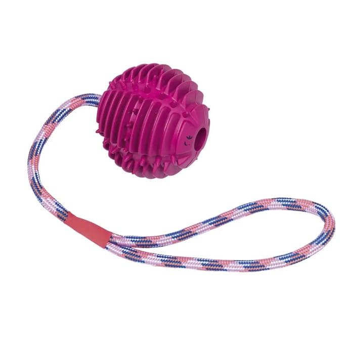 Rubberen bal met touw voor honden Nobby Pet