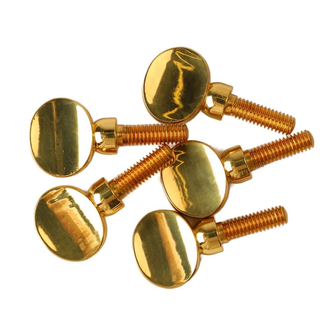 5 stuks Saxofoon Hals Ontvanger Aandraaischroef Messing Hoge Hardheid Saxofoon Hals Schroef brown