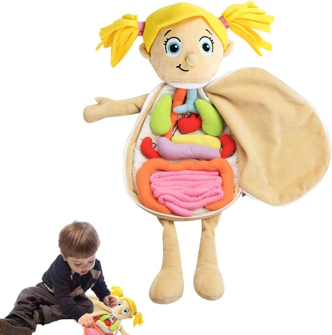 Anatomie Pop - Leren Lichaam - Kind Educatie - Zachte Pluche Vulling - 49 x 33 x 6 cm