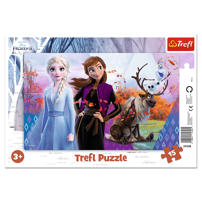 Frozen framepuzzel