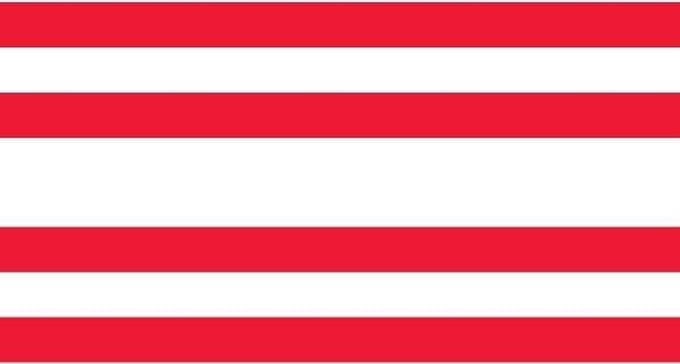 Vlag Gorinchem 30x45cm