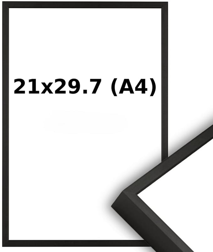 Aluminium Wissellijst A4 21 x 29.7 Zwart - Ontspiegeld Glas - Professional