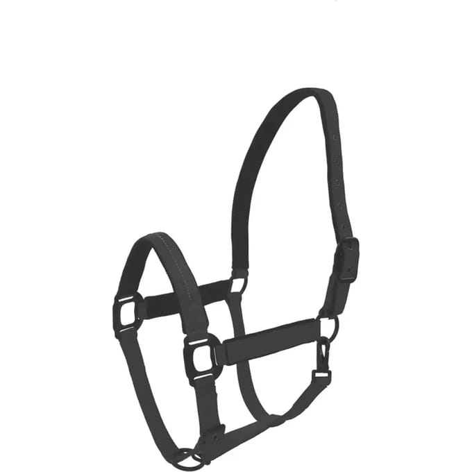 Halster voor paarden Lami-Cell Charming