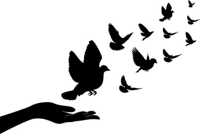 Raam - muur - veranda - sticker Hand met vogels - wall art -