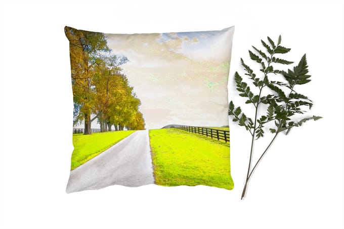 Sierkussens - Kussentjes Woonkamer - 45x45 cm - Wolken - Bomen - Weg