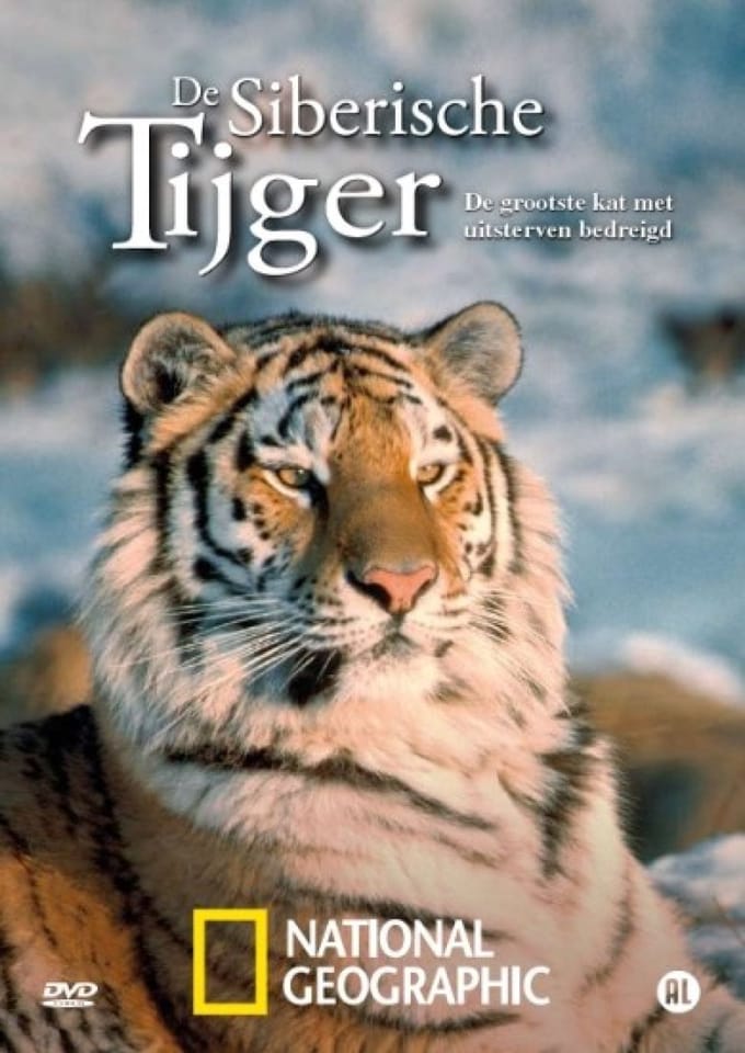 Special Interest - Siberische Tijger