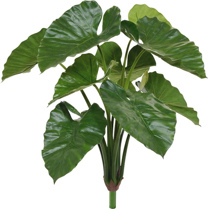 Designplants Alocasia Calidora Kunstplant 70