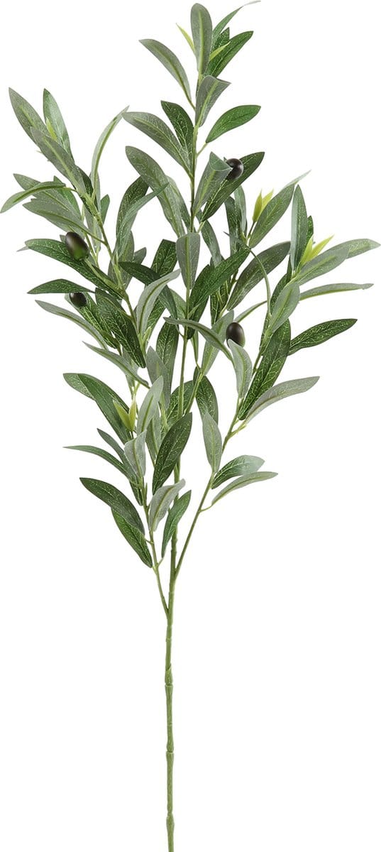 Countryfield Olijf Tak Olea Groen - 90 cm