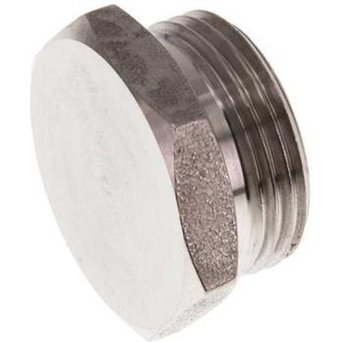 G 3/4'' RVS Plug met Buitenzeskant 40 Bar