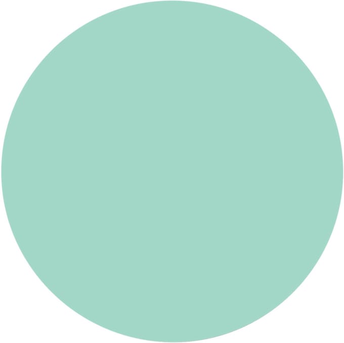 Groovy Magnets Cirkel Magneetsticker - Mint
