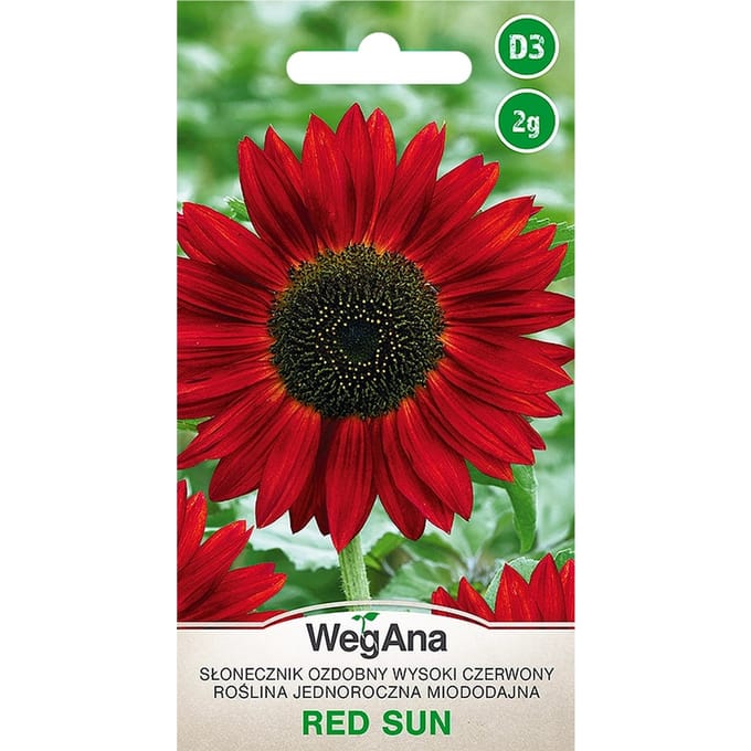 Zonnebloem sier hoge rode zon 2G VegAna bloemzaden