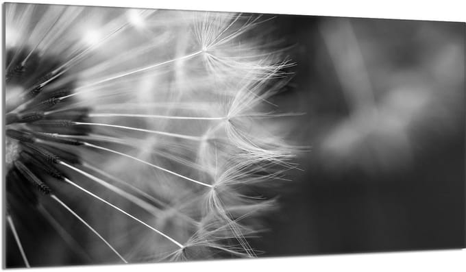 TMK ArtDeko - Snijplank - 90x52 cm - Bescherming - Koken