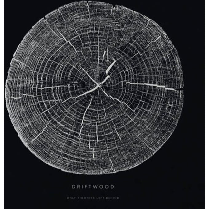 Only Fighters Left Behind - Driftwood