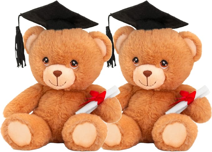 Keeleco - Pluche knuffel beer - 24x- geslaagd - diploma - bruin - 15 cm