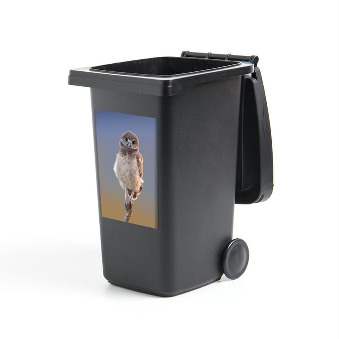 Container sticker Holenuil - Uil op tak - 40x60 cm - kliko sticker - weerbestendige containersticker