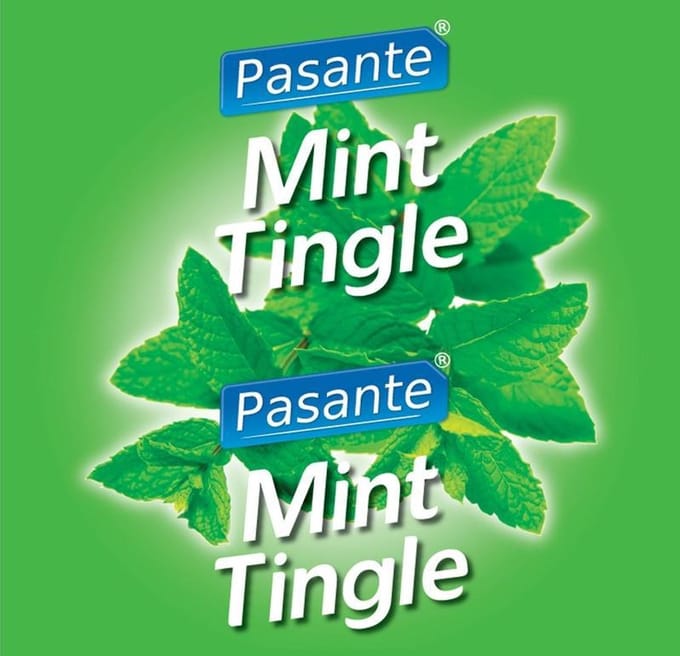 Pasante Mint Flavour Condooms 144 stuks