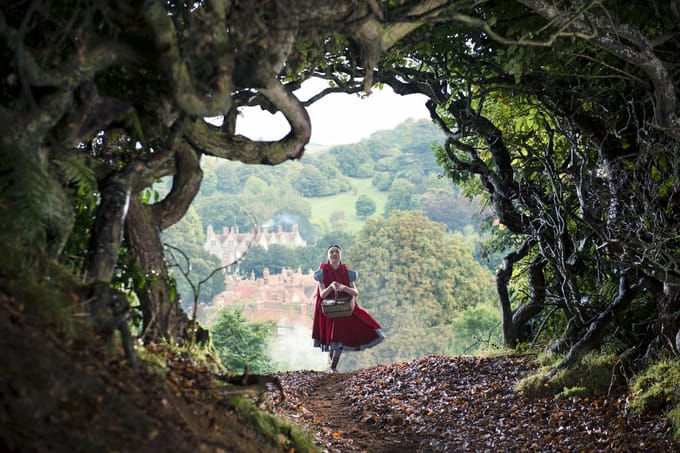 Disney Into the Woods DVD Duits