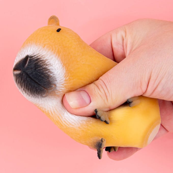 Capibara stressbal van OOTB