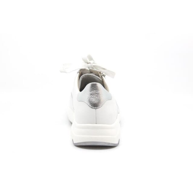 Solidus 66501