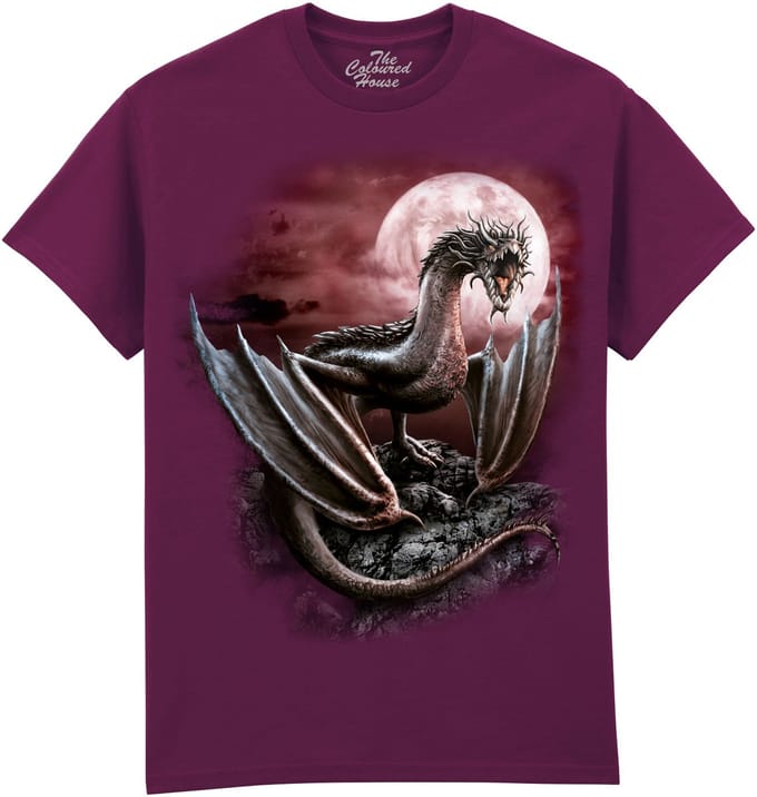 Draak Darius Dragon The Coloured House T-shirt M