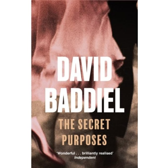 The Secret Purposes - Baddiel, David