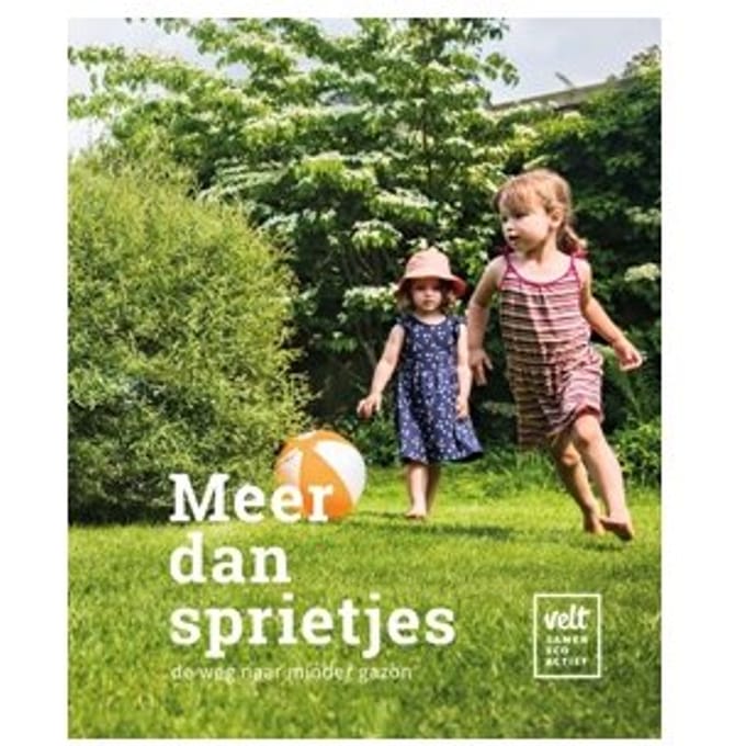 Meer Dan Sprietjes - Greet Tijskens