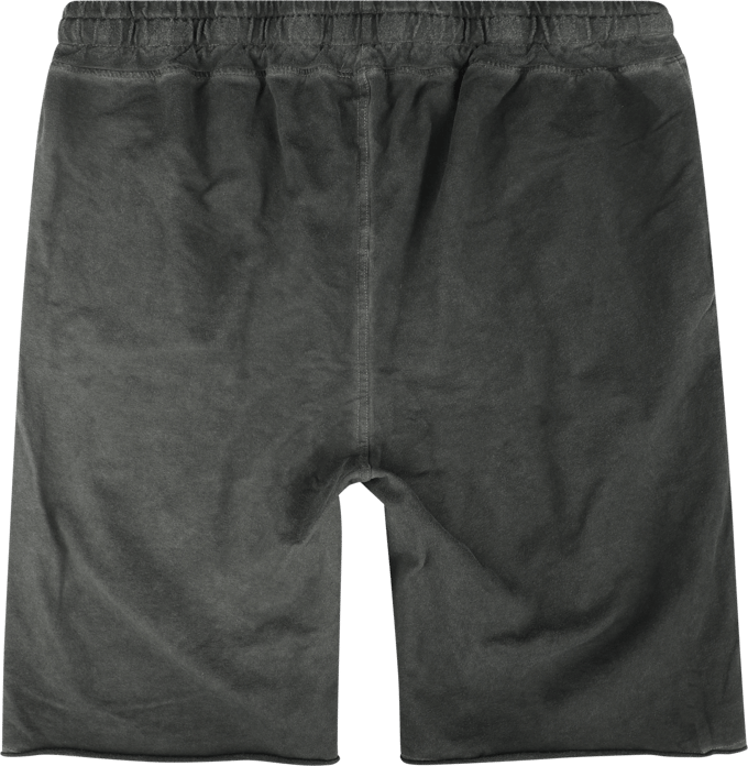 Five Finger Death Punch Shorts - Logo - S tot M - voor Mannen - grijs