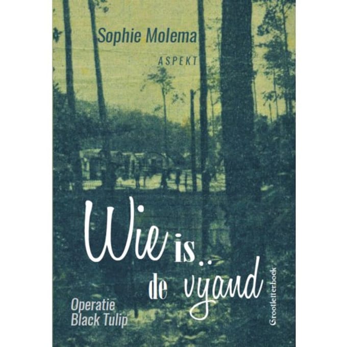 Wie Is De Vijand Glb - Sophie Molema