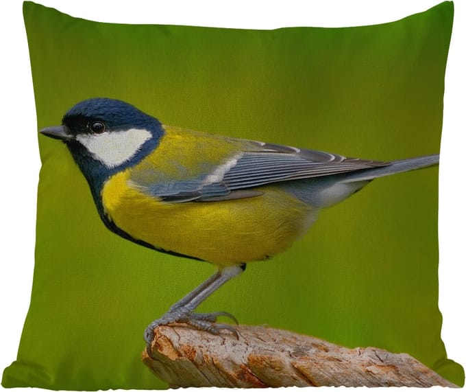 Tuinkussen - Vogel - Koolmees - Dieren - Groen - 40x40 cm - Weerbestendig