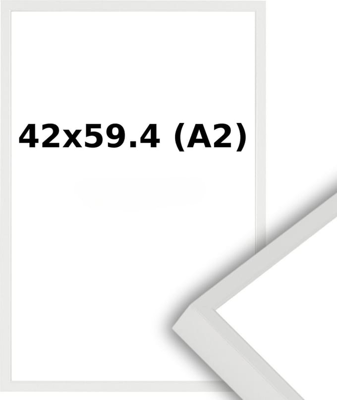 Aluminium Wissellijst A2 42 x 59.4 Wit - Ontspiegeld Glas - Professional