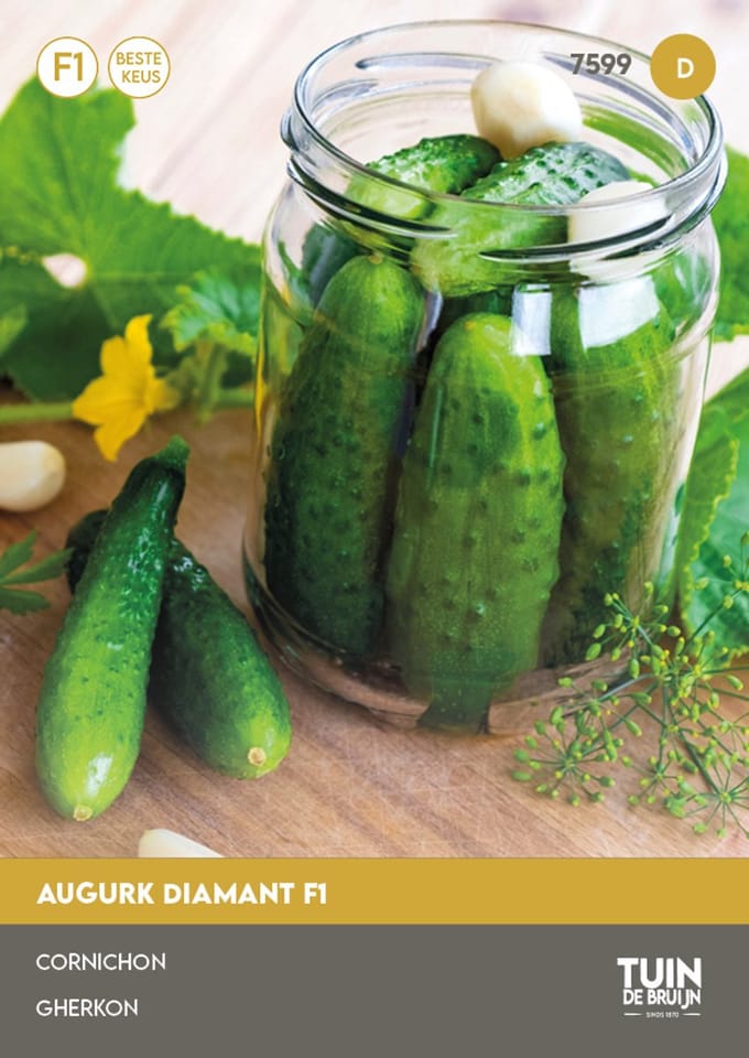 Tuin de Bruijn® zaden Augurk Diamant F1